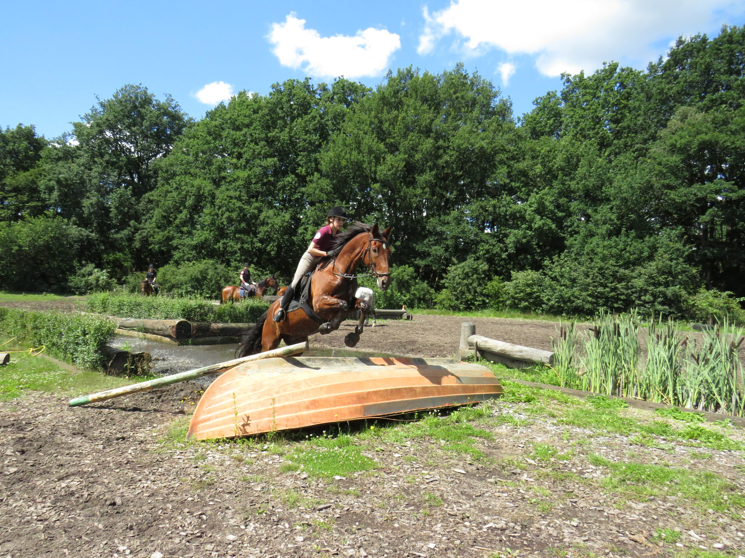 H.O.R.S. activiteit